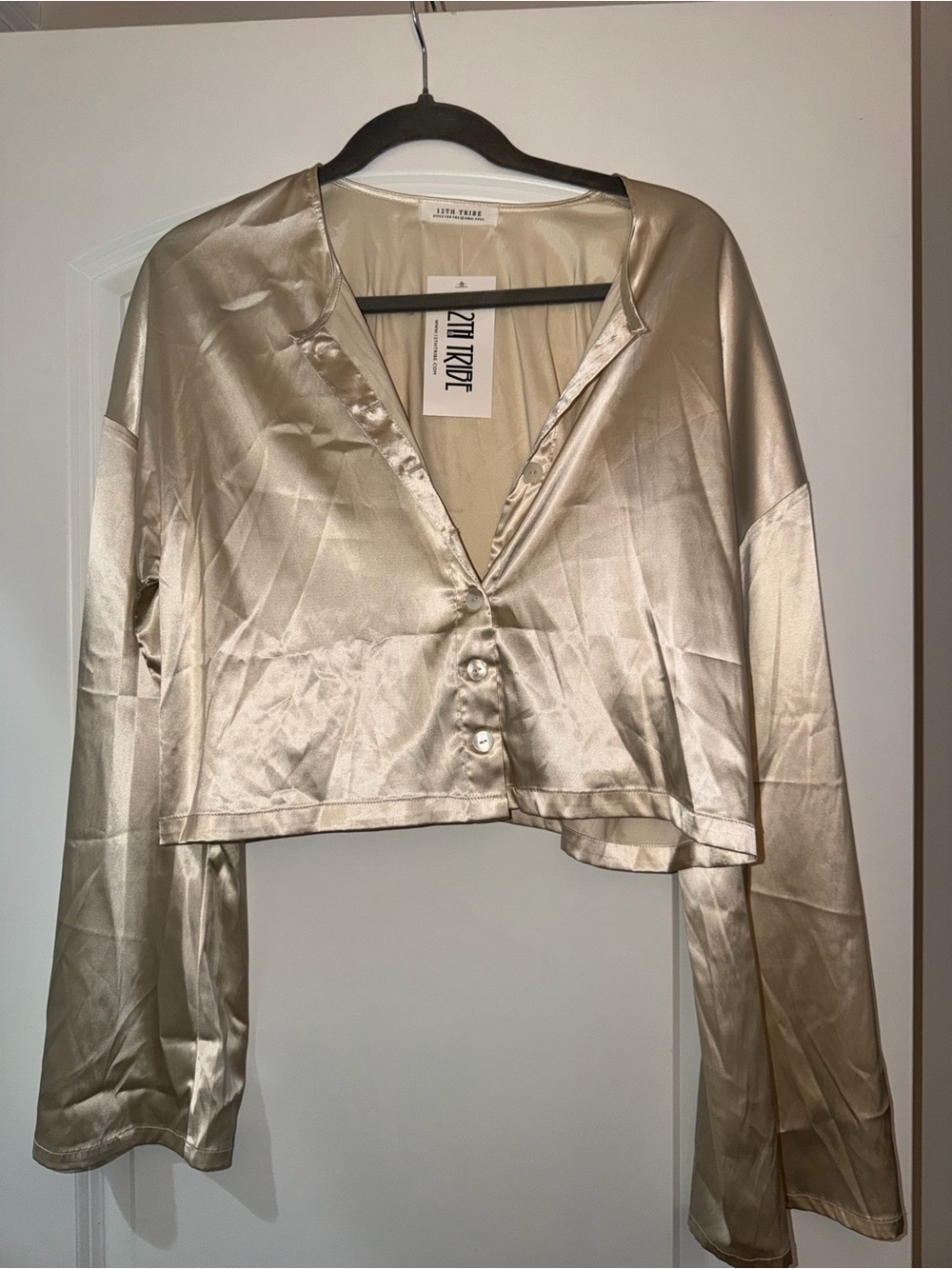 12th Tribe: Satin Crop Button-Front Top in Champagne